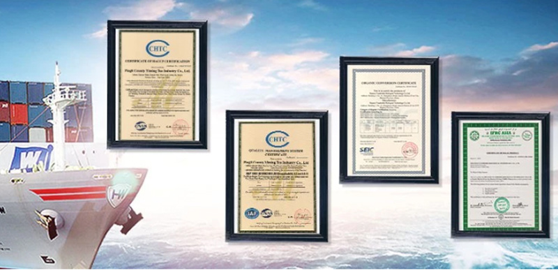 Chinese Suppliers Grape Skin Extract/Grape Seed Extract