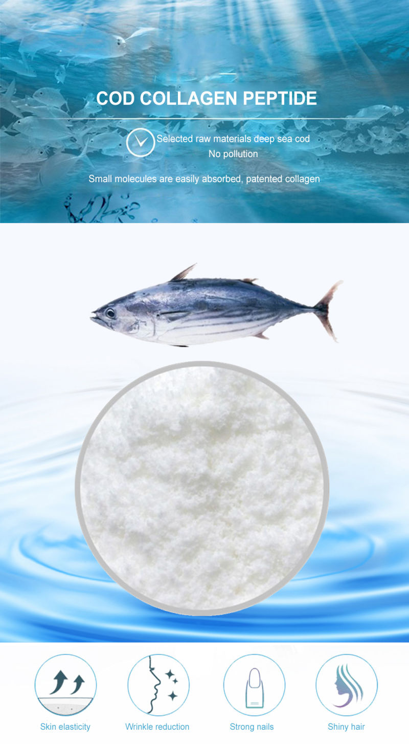 Fish Collagen Peptide Fish Collagen Peptide Hormone-Free and Fish Collagen Peptide