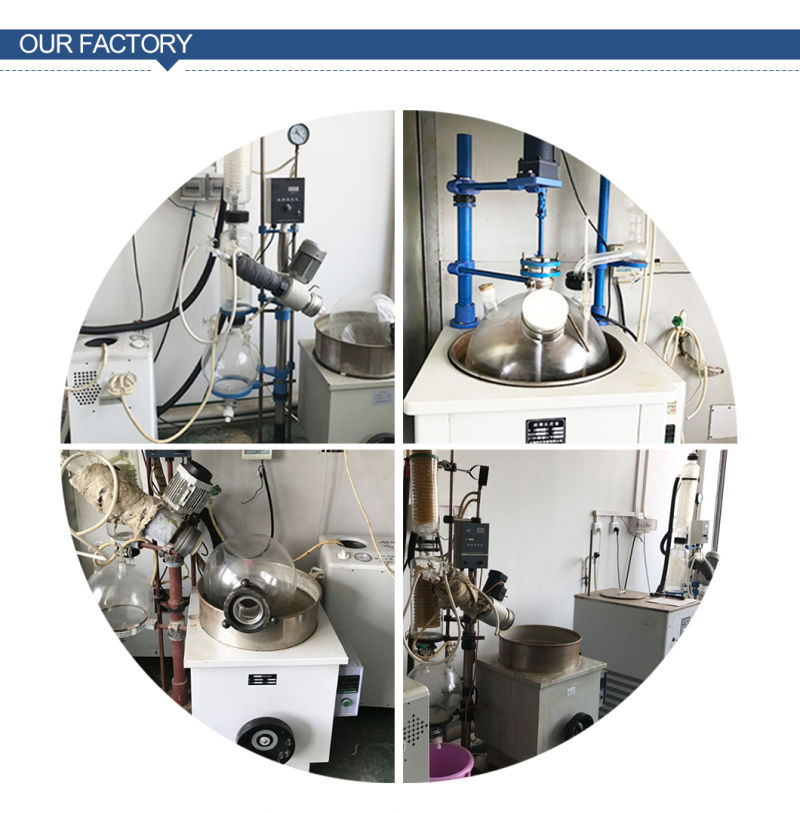 Manufacturer Provide Compeptive Price Chondroitin Sulfate