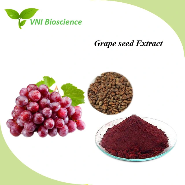 ISO SGS Certified OPC/Vitis Vinifera Plant Extract/Grape Seed Plant Extract