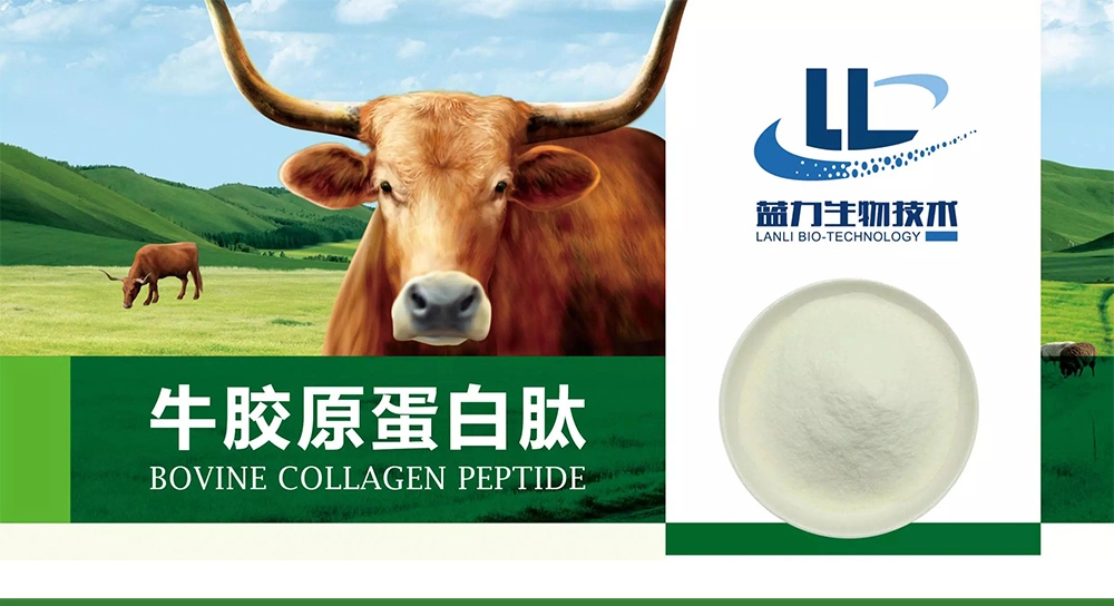 Hydrolyzed Bovine Collagen Nutra Collagen Hydrolyzed Collagen Peptides