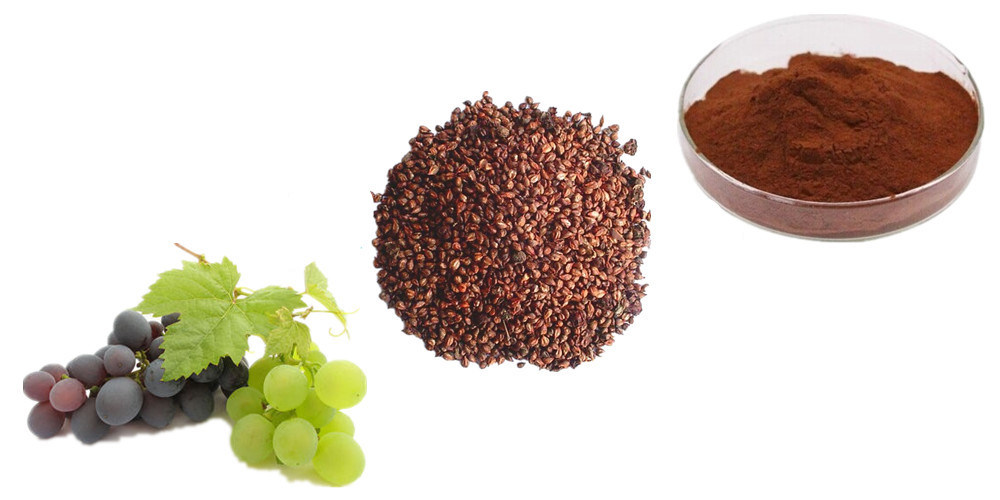 Grape Seed Extract Proanthocyanidins 95% OPC Grape Seed Powder