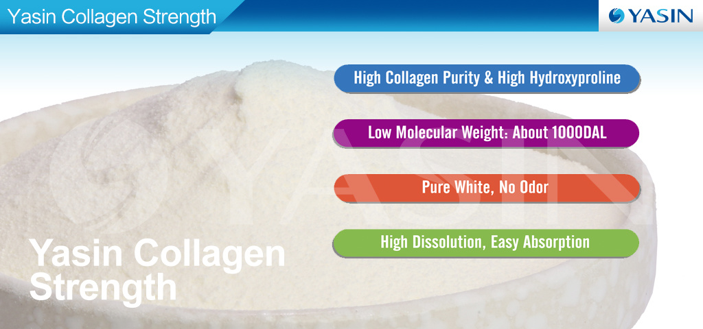 Beauty Skin Fish Collagen Protein