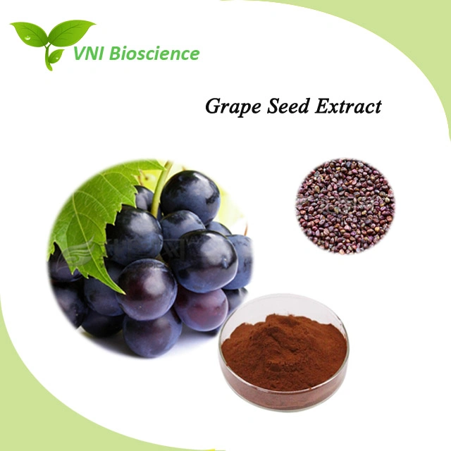 ISO Certified Pure Natural Grape Seed Extract OPC 95%