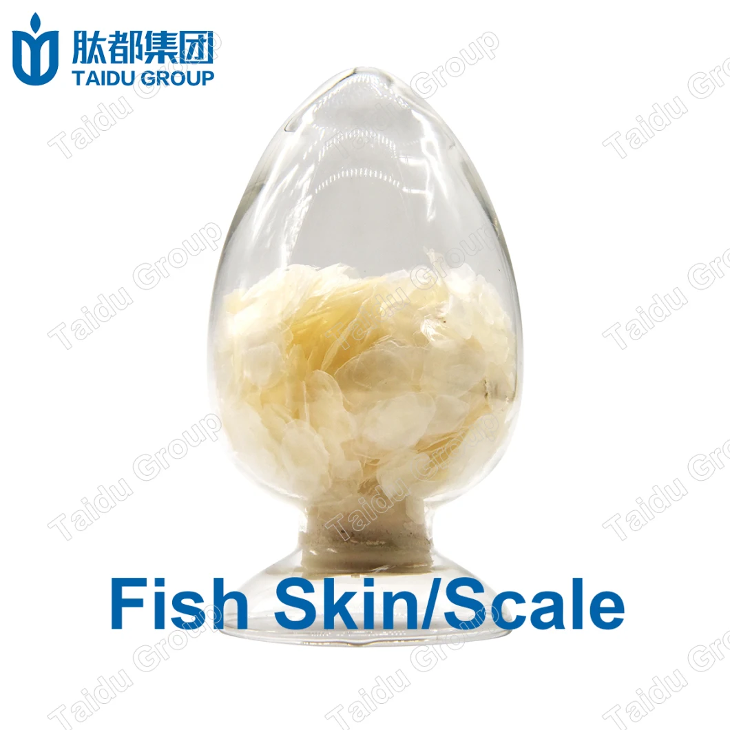 Food and Cosmetic Grade Hydrolyzed Fish Collagen