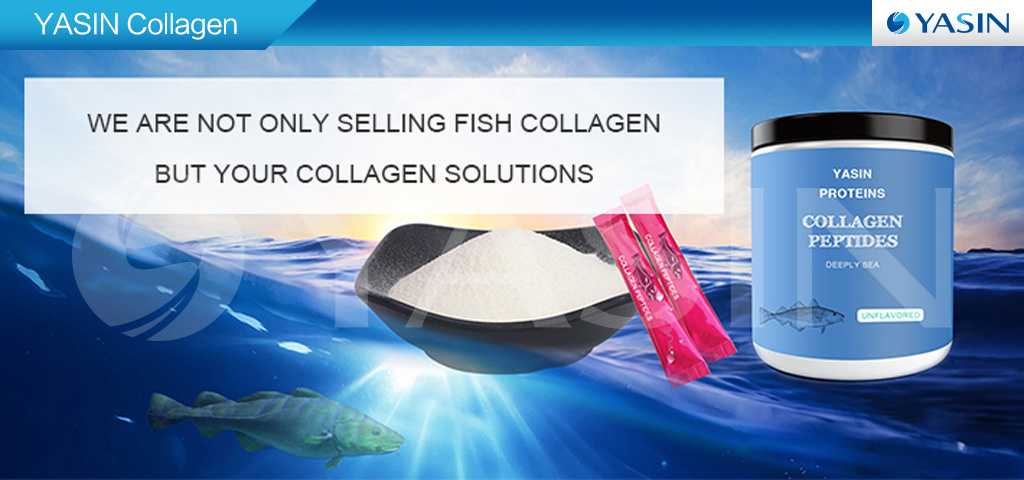 Beauty Skin Fish Collagen Protein