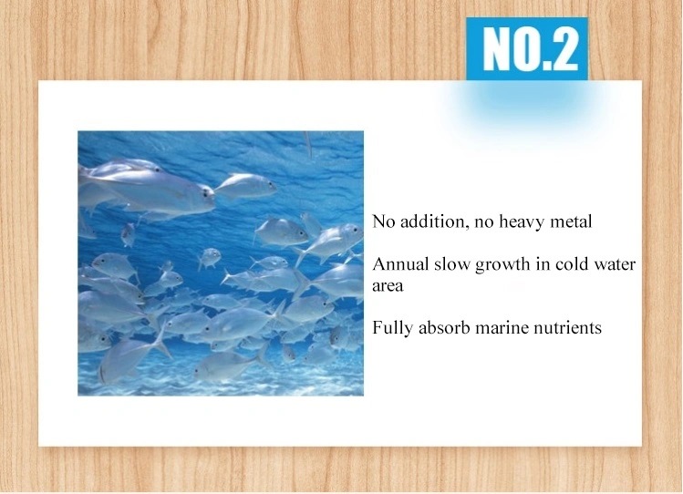 Manufacturer Supply Raw Material Pure Hydrolyzed Fish Collagen Peptide Powder for Anti-Aging