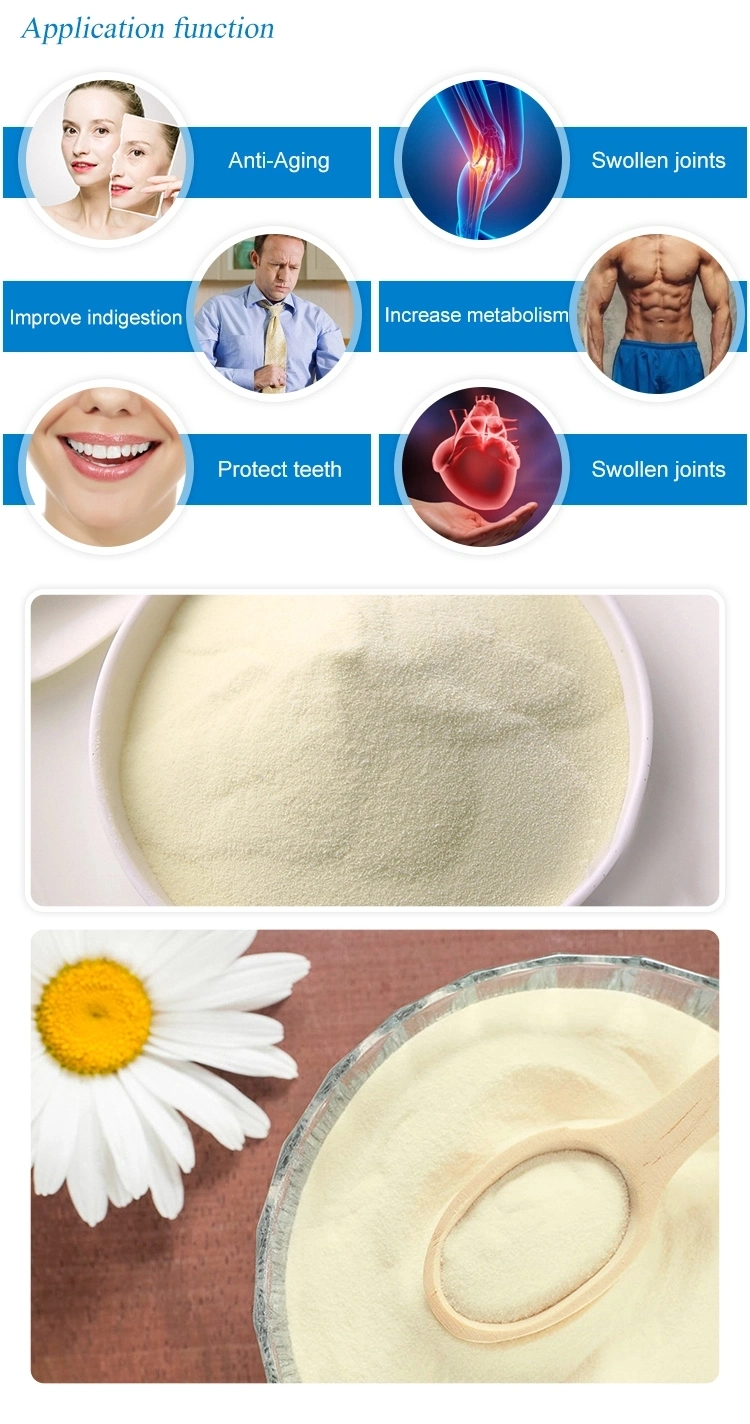 Good Quality Factory Bulk Collagen Bovine Peptide