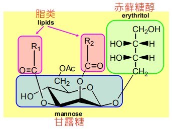 Antioxidant and Repair Mannosyl Erythritol Lipid