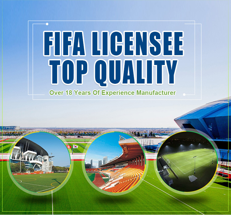 OEM Accepted Chinese Substitute Bench for Football Pitch Sideline
