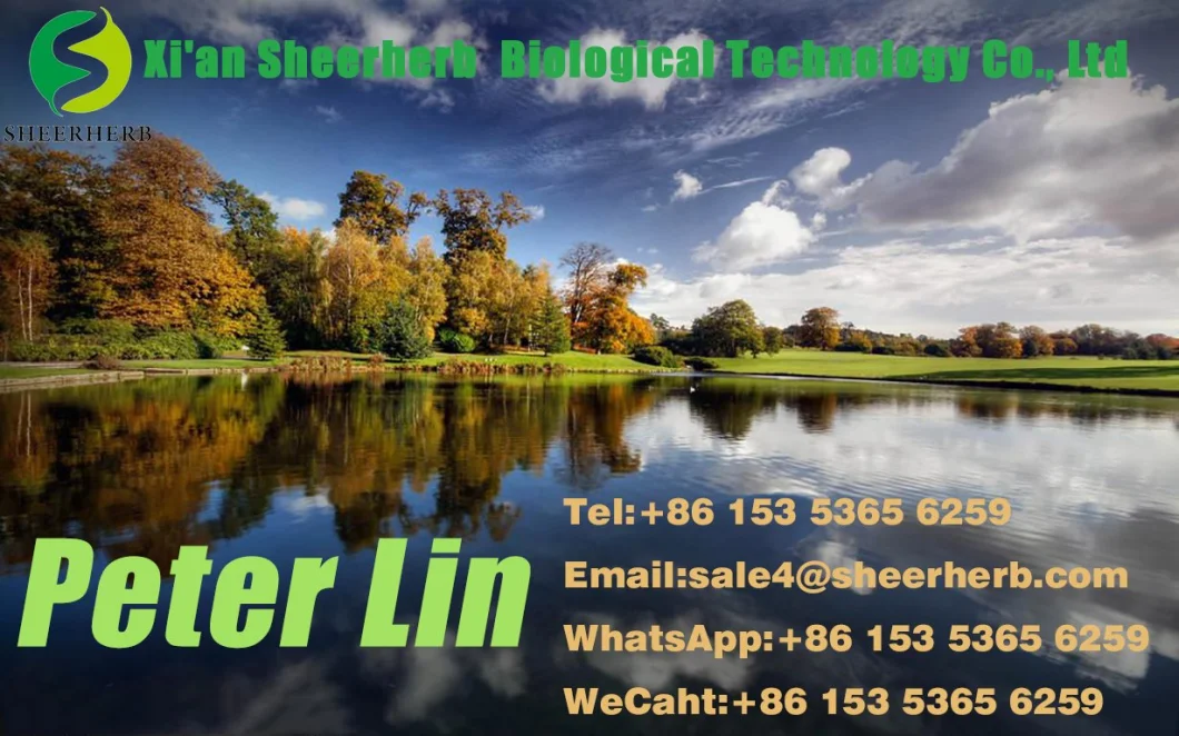 Natural Compound Sweetener Erythritol Powder for Food Sweetener Soft Candy Additives