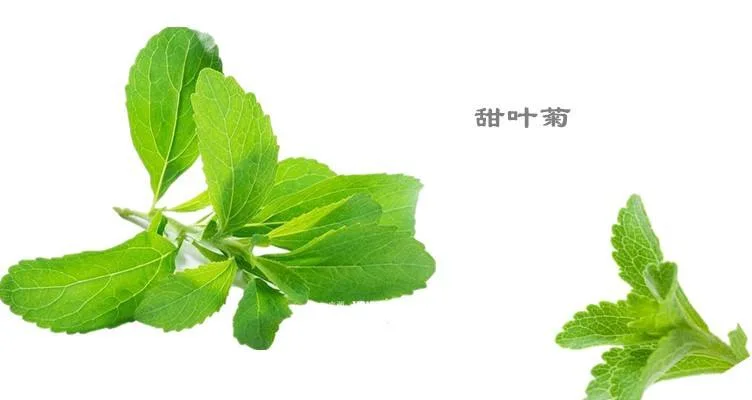 Natural Health Food Sweetner Stevia Extract Ra95%, 98% Pure Natural Food Sweetener