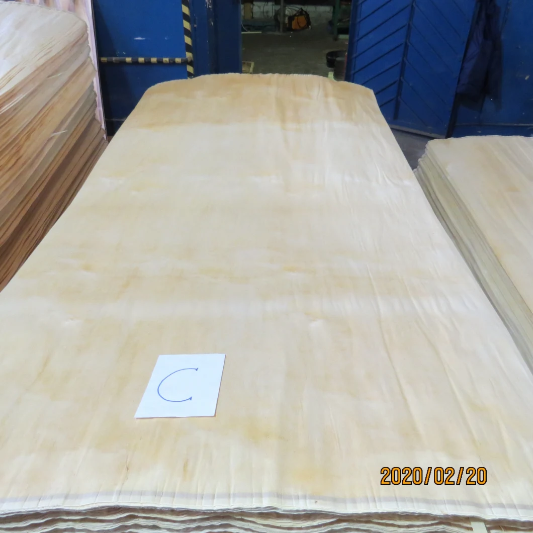 Natural Birch and White Birch Veneer in 1300X2500X0.25mm-0.60mm