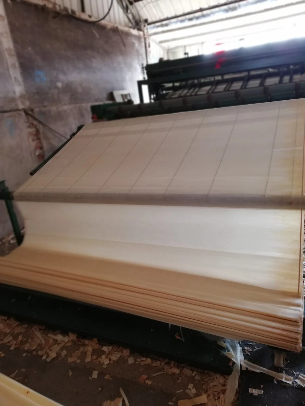 Natural Birch and White Birch Veneer in 1300X2500X0.25mm-0.60mm