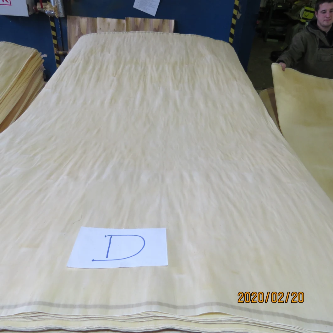 Natural Birch and White Birch Veneer in 1300X2500X0.25mm-0.60mm