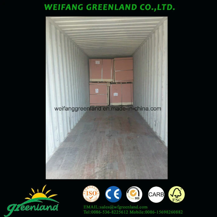 E1 Grade Birch Plywood/Birch Film Plywood/Birch Core Plywood