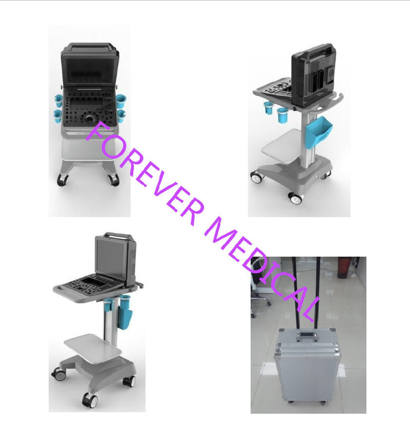 Gynaecology and Obstetrics Diagnostic Equipment 4D Color Ultrasound Scanner