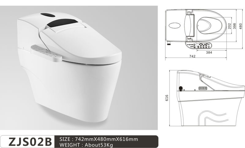 Deluxe Bathroom Set Automatic Massage Cleansing Intelligent Smart Toilet