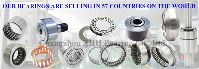 High Quality Mr27n Mr28n Needle Roller Bearing for Equipments (MR-48/MR-48/MR-48/MR-52/MR-56-N/MR-56/MR-56/MR-56)