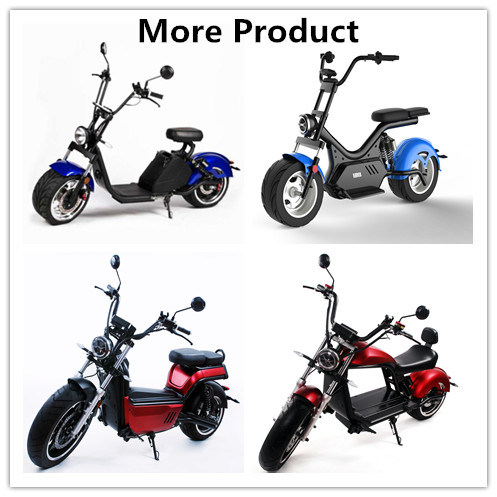 1000W Brushless Motor LED Front Lamp Practical Electric Motorcycle for Outdoor Sports