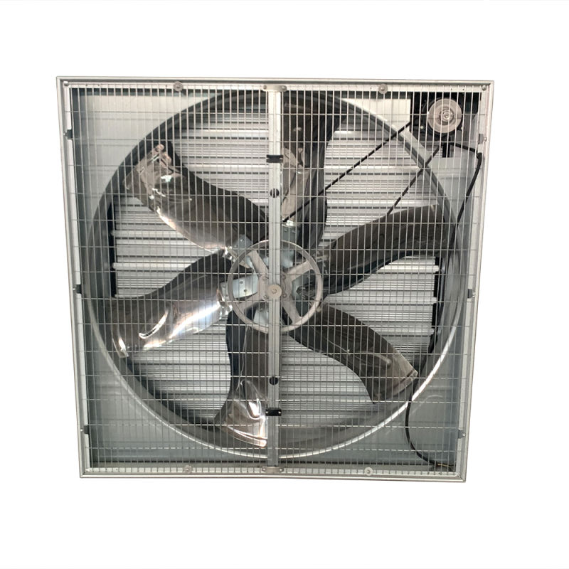 High Power Exhaust Fan / Special Cooling Equipment for Greenhouse