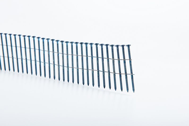 Nails Galvanized Coil Nails for Woodwork