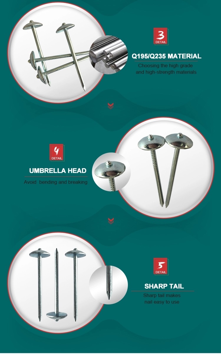 Twist Shank Umbrella Head Roofing Nails