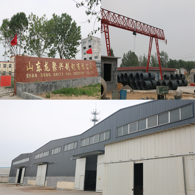 Pallet Making Coil Nails Iron Nails Screw Nails