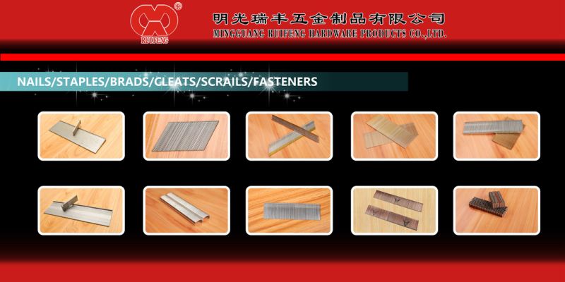 Round Flat Head; Finish Screw; Wire Coil Nails