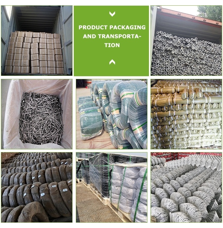 Bwg9 Flexible Construction Use Electro Galvanized Umbrella Head Roofing Nails