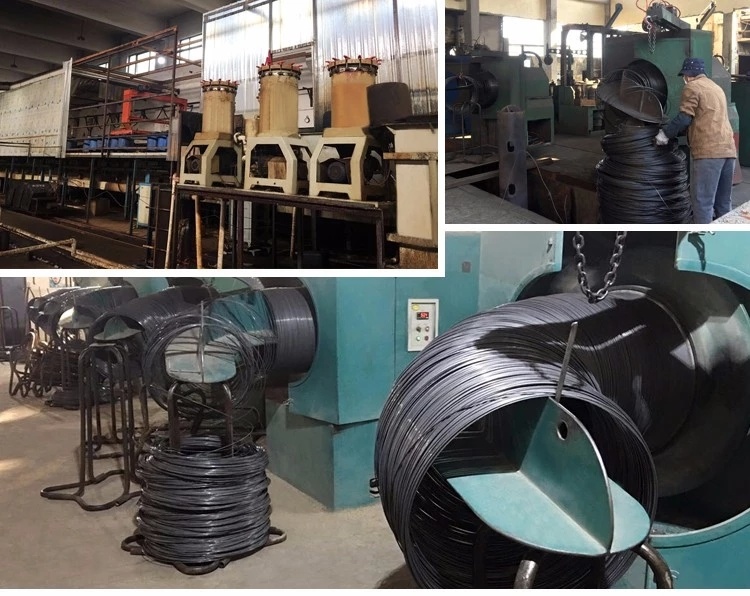 Common Nails /Iron Nails /Tianjin Wire Nails Factory