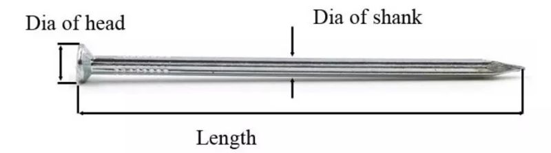 Construction Nails, Steel Concrete Nails, Common Iron Nail