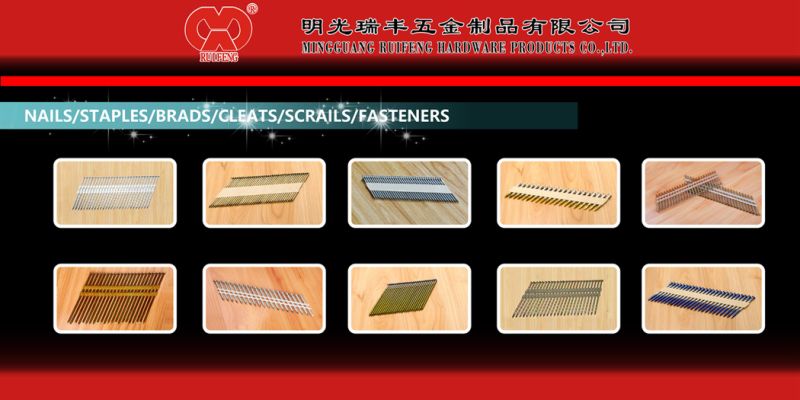 Round Flat Head; Finish Screw; Wire Coil Nails