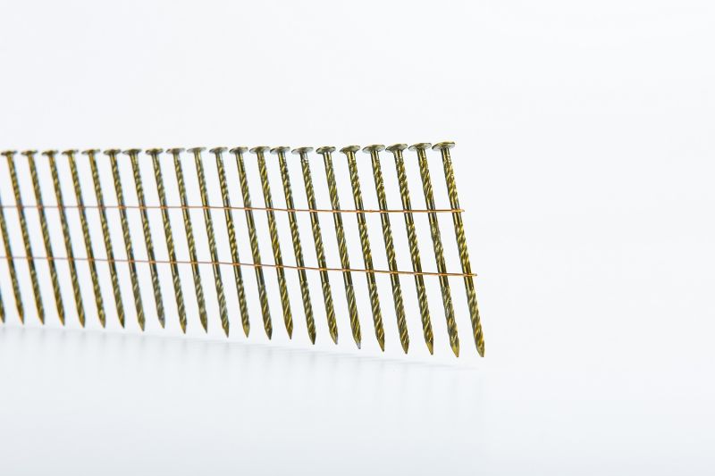 Nails Galvanized Coil Nails for Woodwork