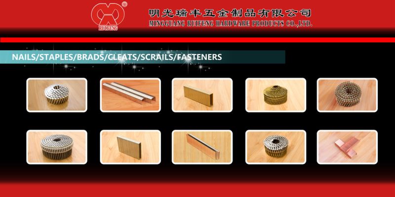Round Flat Head; Finish Screw; Wire Coil Nails