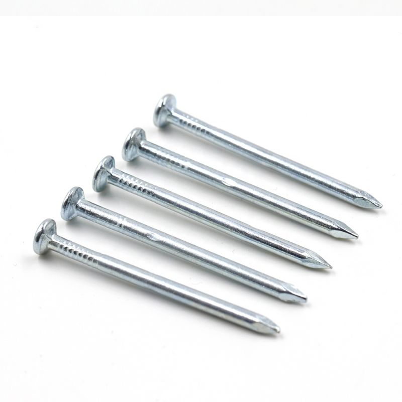 Construction Nails, Steel Concrete Nails, Common Iron Nail