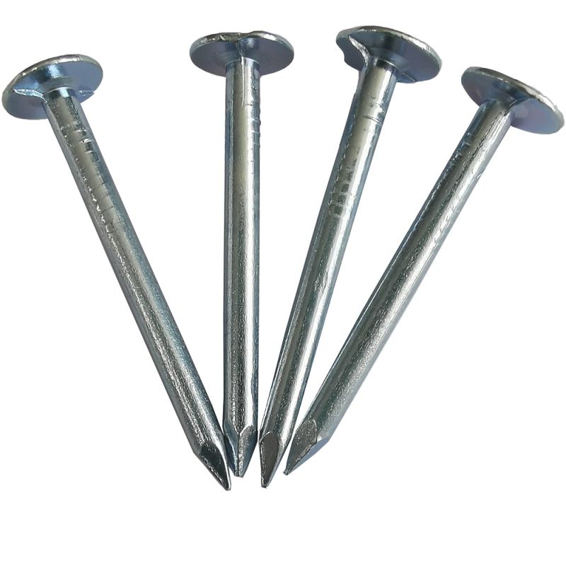 Galvanized Black Steel Cut Nails 2.5 Inch Cut Masonry Nails