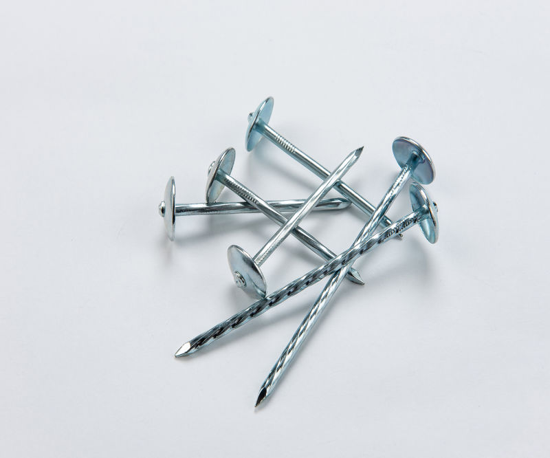 Bwg9 Flexible Construction Use Electro Galvanized Umbrella Head Roofing Nails