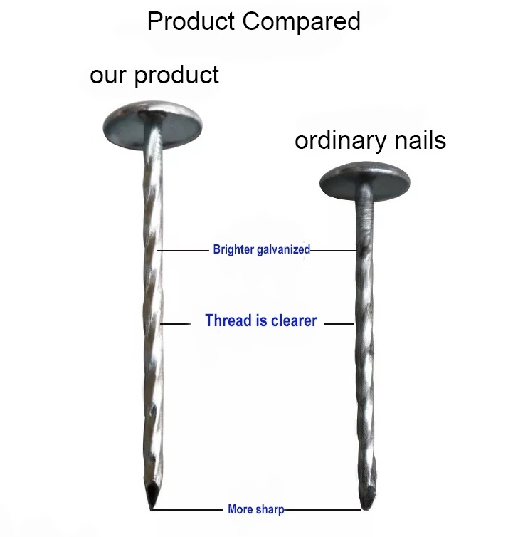 20 Years Experience Factory Cheap Price Umbrella Head Brad Roofing Nails