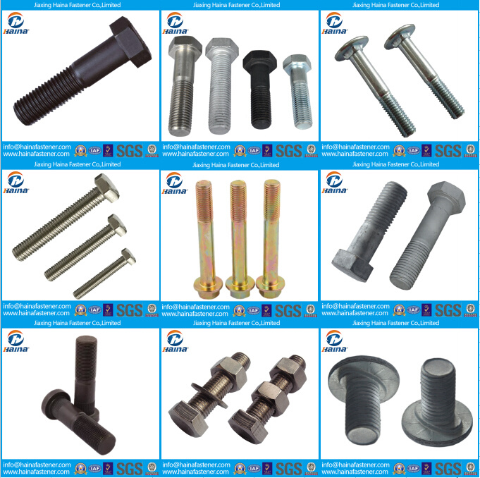 DIN 912/603 SUS304/316 Stainless Steel Phillips Cross Recessed Cap/Round Head Bolt