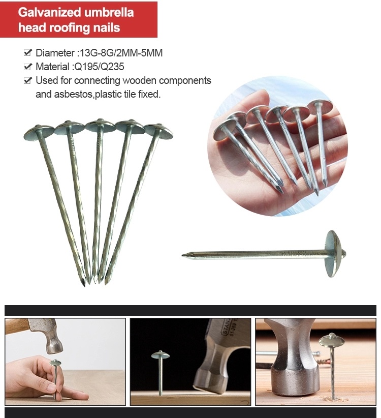 Twist Shank Umbrella Head Roofing Nails