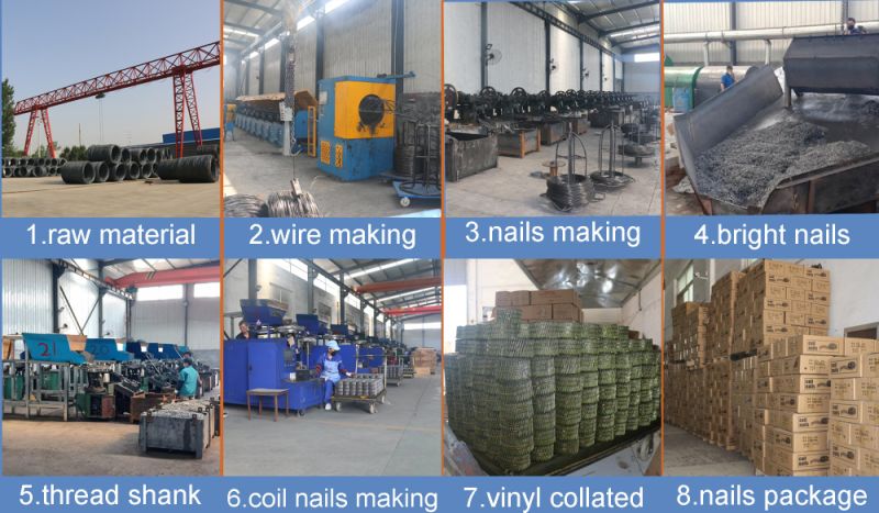 Hot Selling Copper Wire Coil Nails for Nail Gun