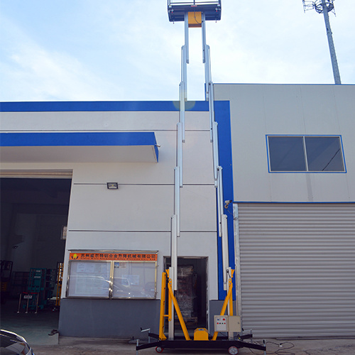 Aluminium Alloy Dual Masts Aerial Work Platform Lift (10m)