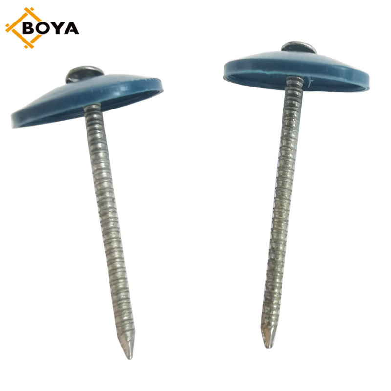 Plastic Umbrella Head Roofing Nails with Factory Price