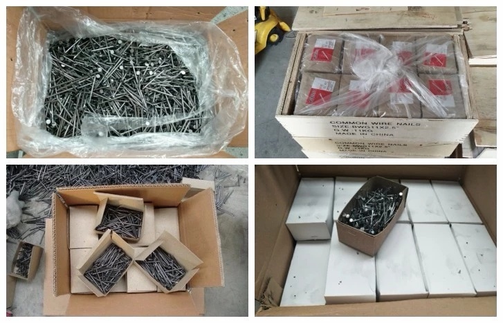 Wholesale Framing Nails/Concrete Nails/Coil Nails