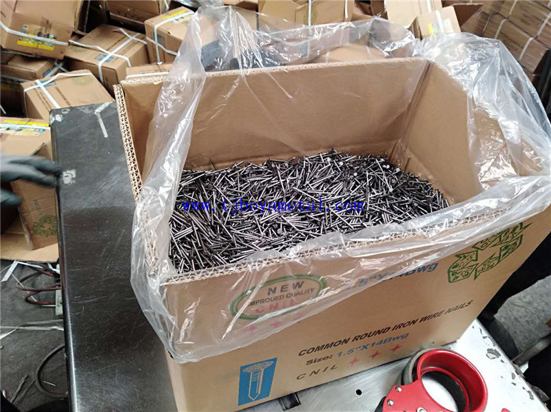 High Quality Roofing Big Flat Head Clout Nails/Cupper Nails
