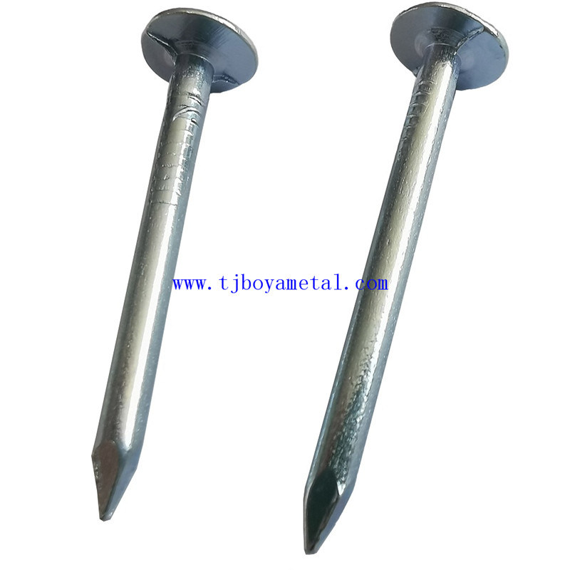 High Quality Roofing Big Flat Head Clout Nails/Cupper Nails