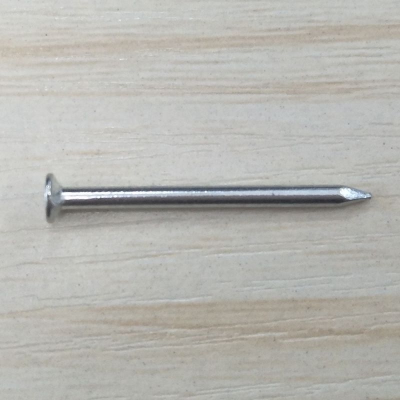 Coil Nails/Iron Nail/Common Nails in Box/Copper Nails