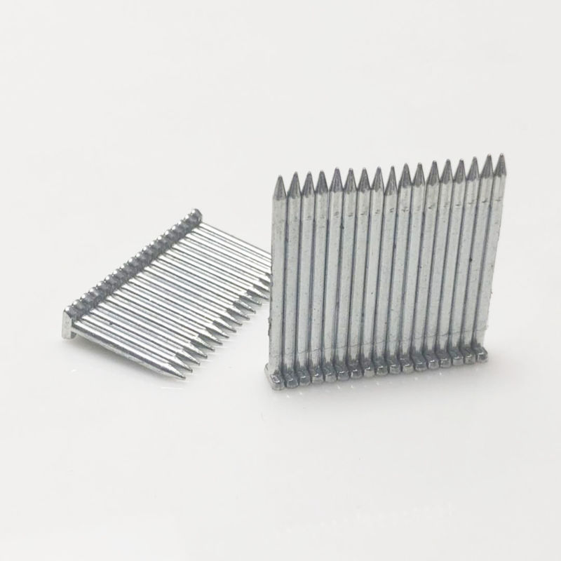 Wholesale Framing Nails/Concrete Nails/Coil Nails