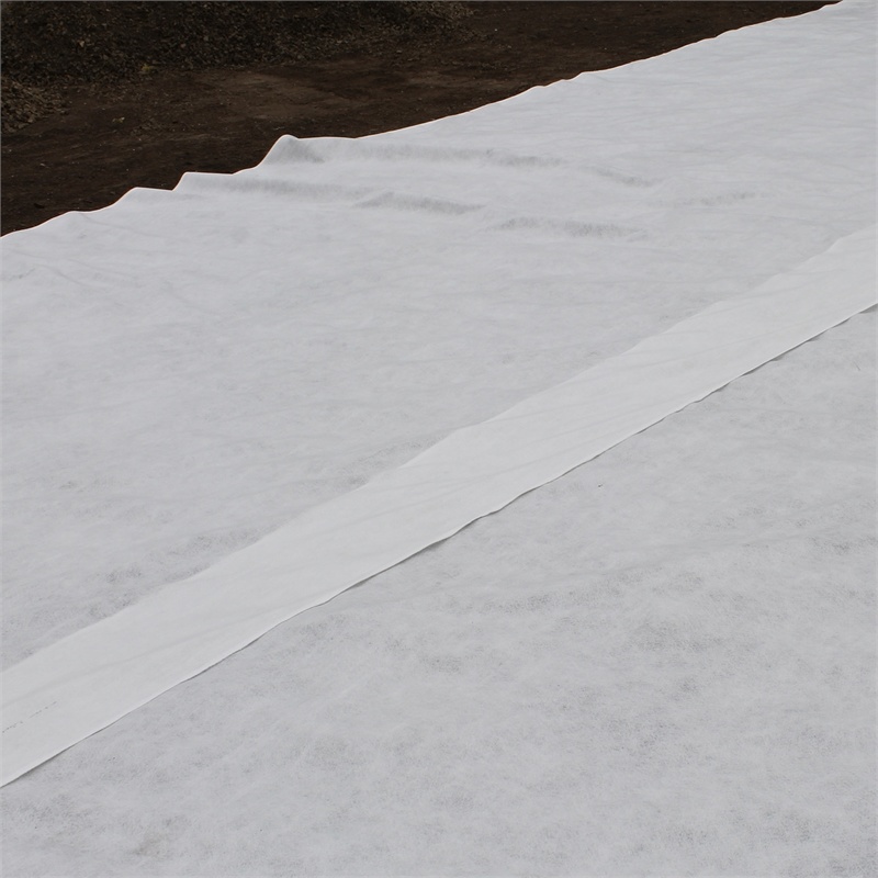 Non-Woven Geotextile Needle Punched Nonwoven Geo Fabric